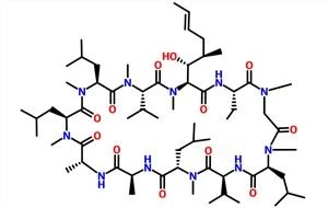 Cyclosporin A CAS NO.59865-13-3