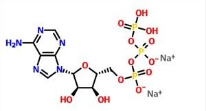 Adenosine Triphosphate Disodium CAS NO. 987-65-5