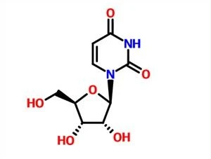 Uridine CAS NO.58-96-8