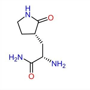 3-Pyrrolidinepropanamide, α-amino-2-oxo-, Hydrochloride CAS:2628280-48-6