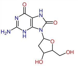 Guanosine CAS NO.118-00-3