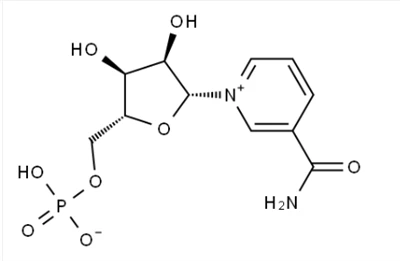 β-Nicotinamide Mononucleotide1094-61-7