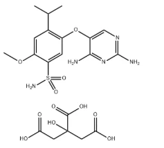 CAS：2310299-91-1 Benzenesulfonamide, 5-[(2,4-diamino-5-pyrimidinyl)oxy]-2-methoxy-4-(1-methylethyl)-, 2-hydroxy-1,2,3-propanetricarboxylate (1:1)