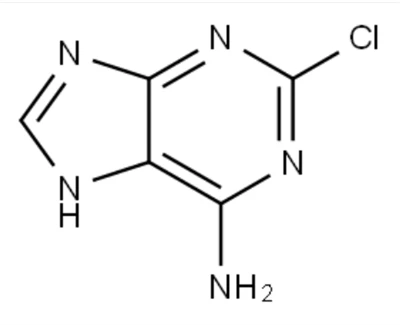 CAS NO.1839-18-5 2-Chloroadenine