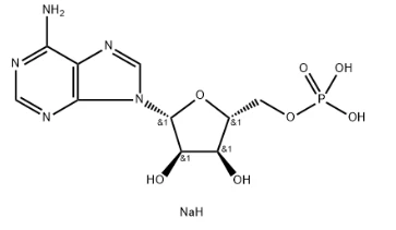 Adenosine 5'-monophosphate Disodium Salt CAS NO.:4578-31-8