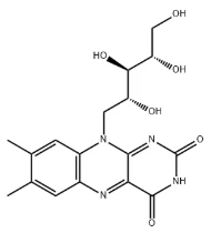 Riboflavin CAS NO:83-88-5