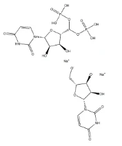 Uridine 5'-monophosphate CAS NO.:58-97-9